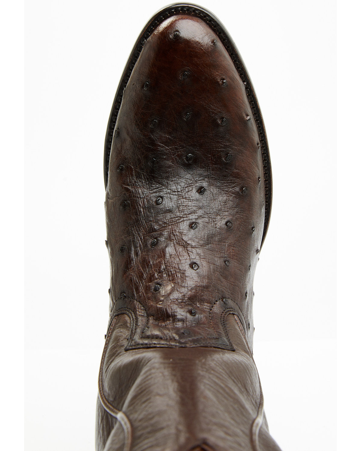 Cody James Black 1978® Men's Chapman Exotic Full-Quill Ostrich Western