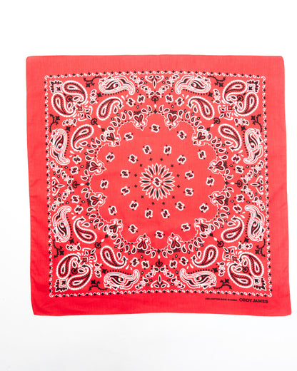 Cody James Men's Red Bandana
