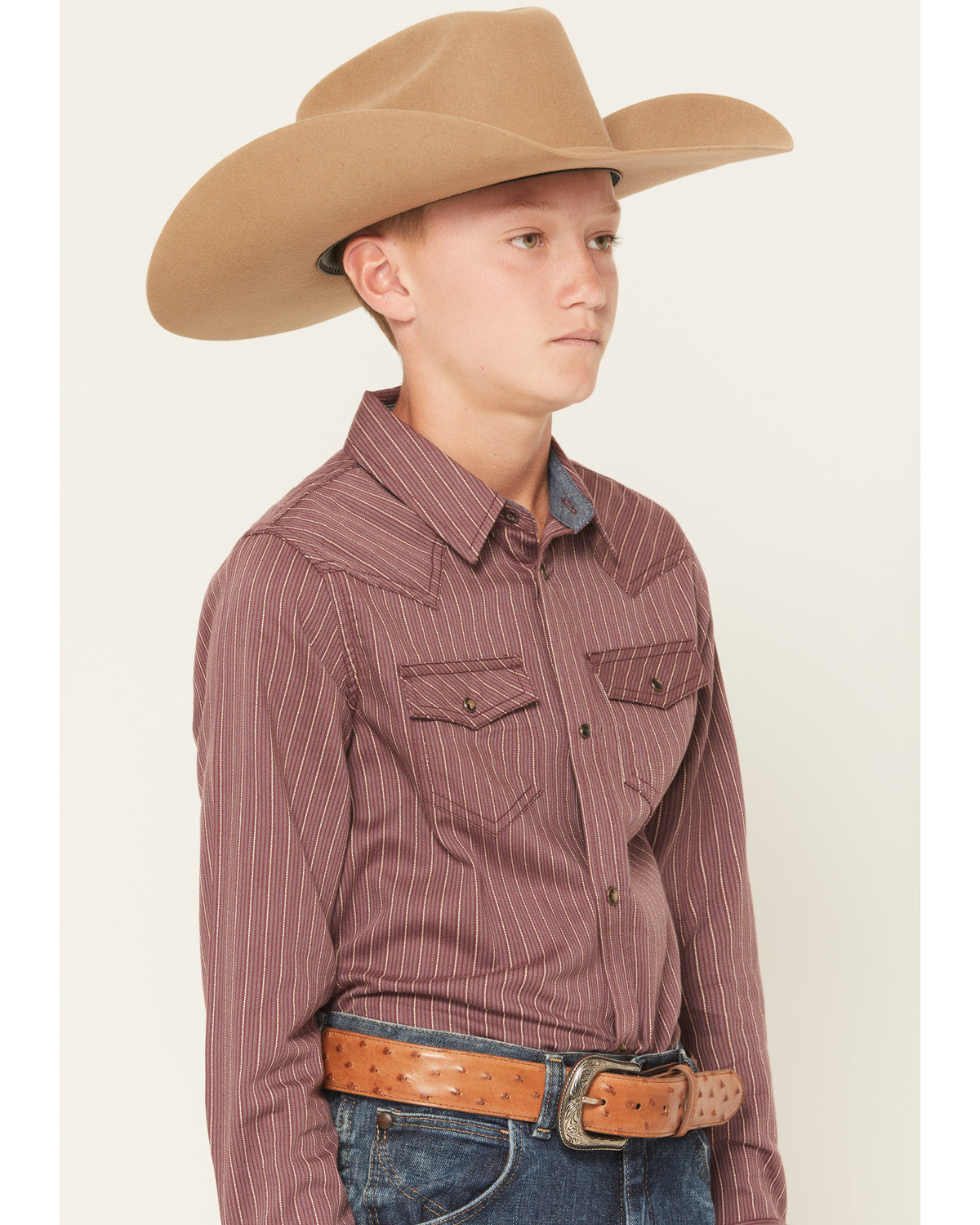 Cody James Boys' Everest Peak Striped Print Long Sleeve Snap Western S